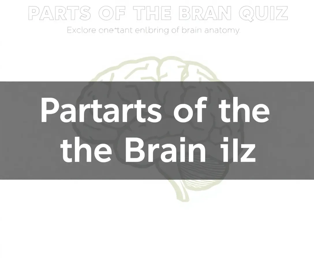 Parts Of The Brain Quiz Questions And Answers