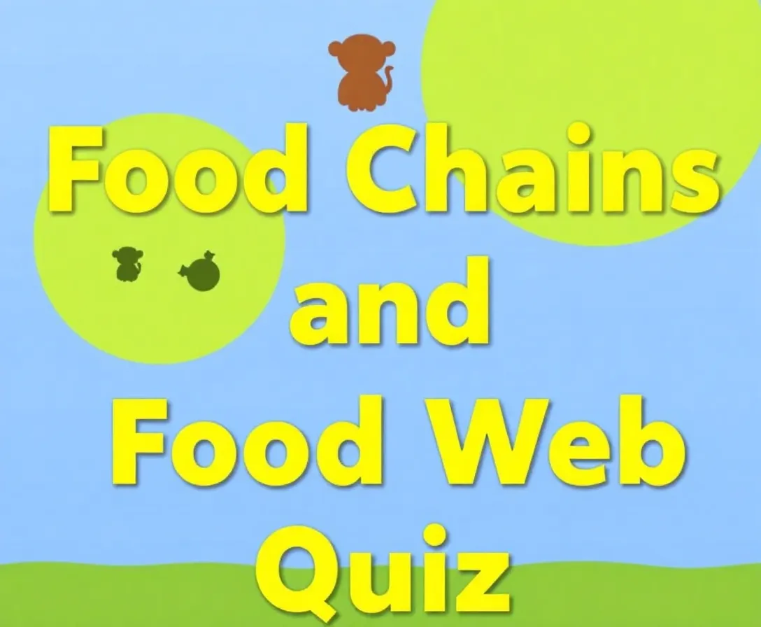Food Chain And Food Web Quiz Questions And Answers