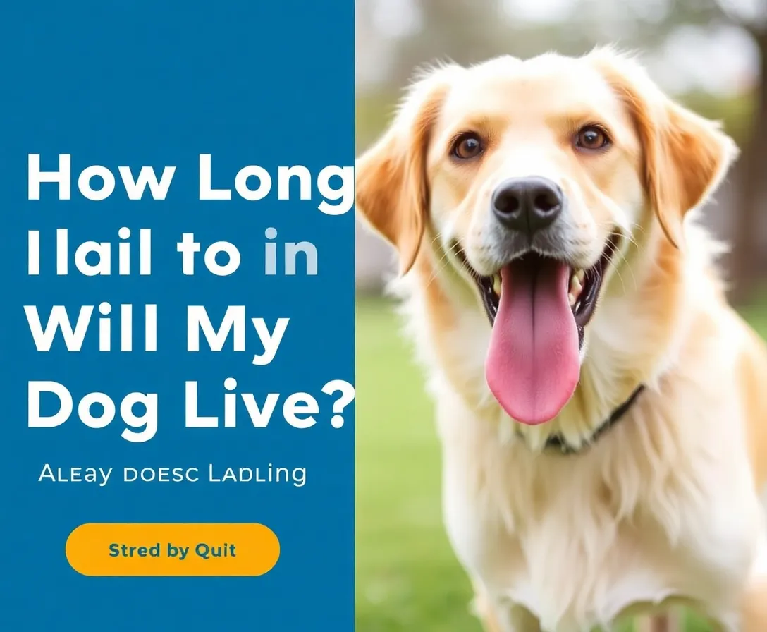 How Long Will My Dog Live? Quiz