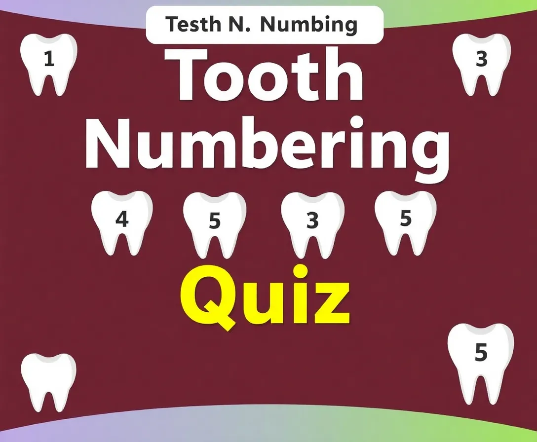 Advanced Dental Mastery: Modern Tooth Numbering