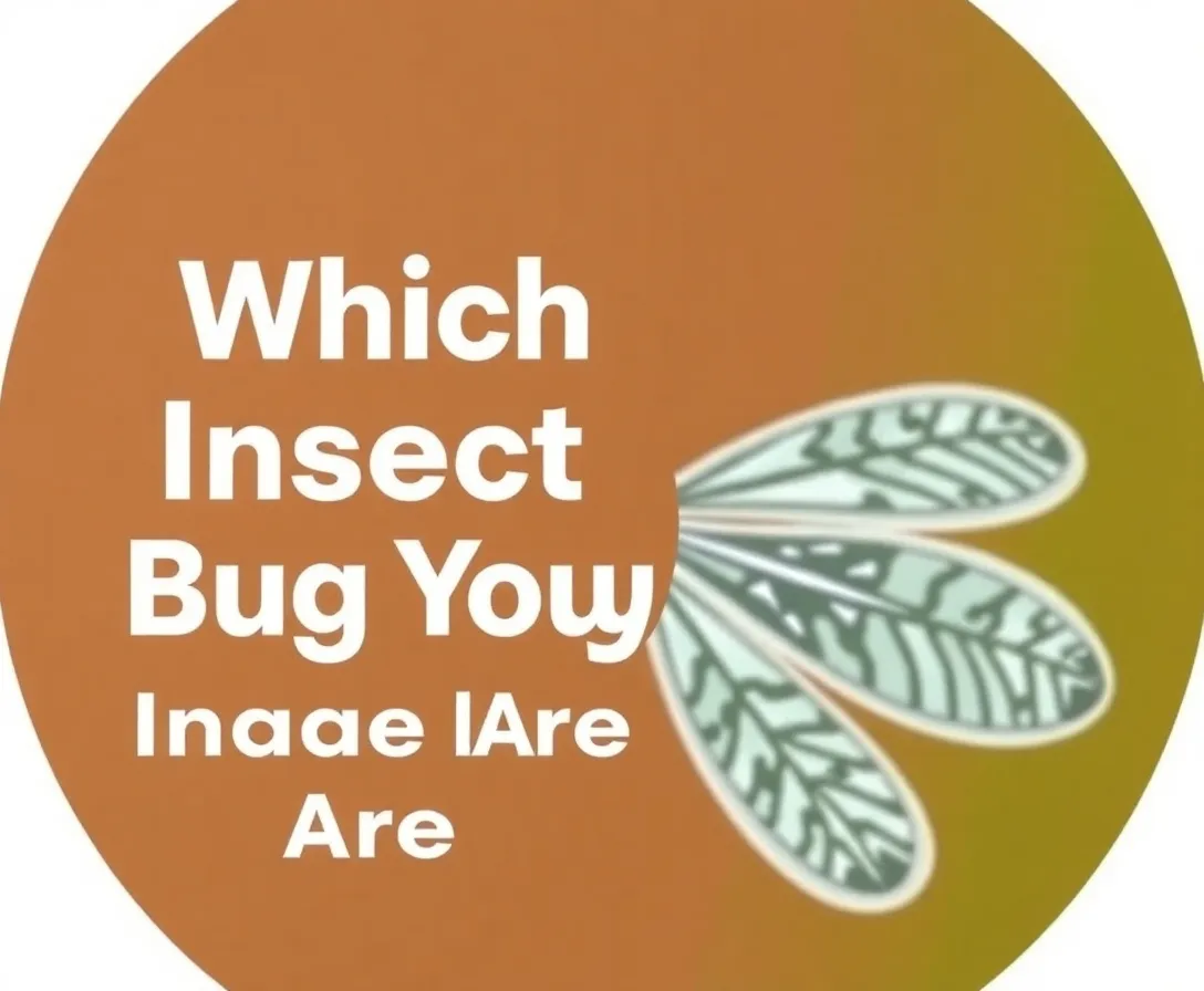 Which Insect Or Bug Are You? Quiz