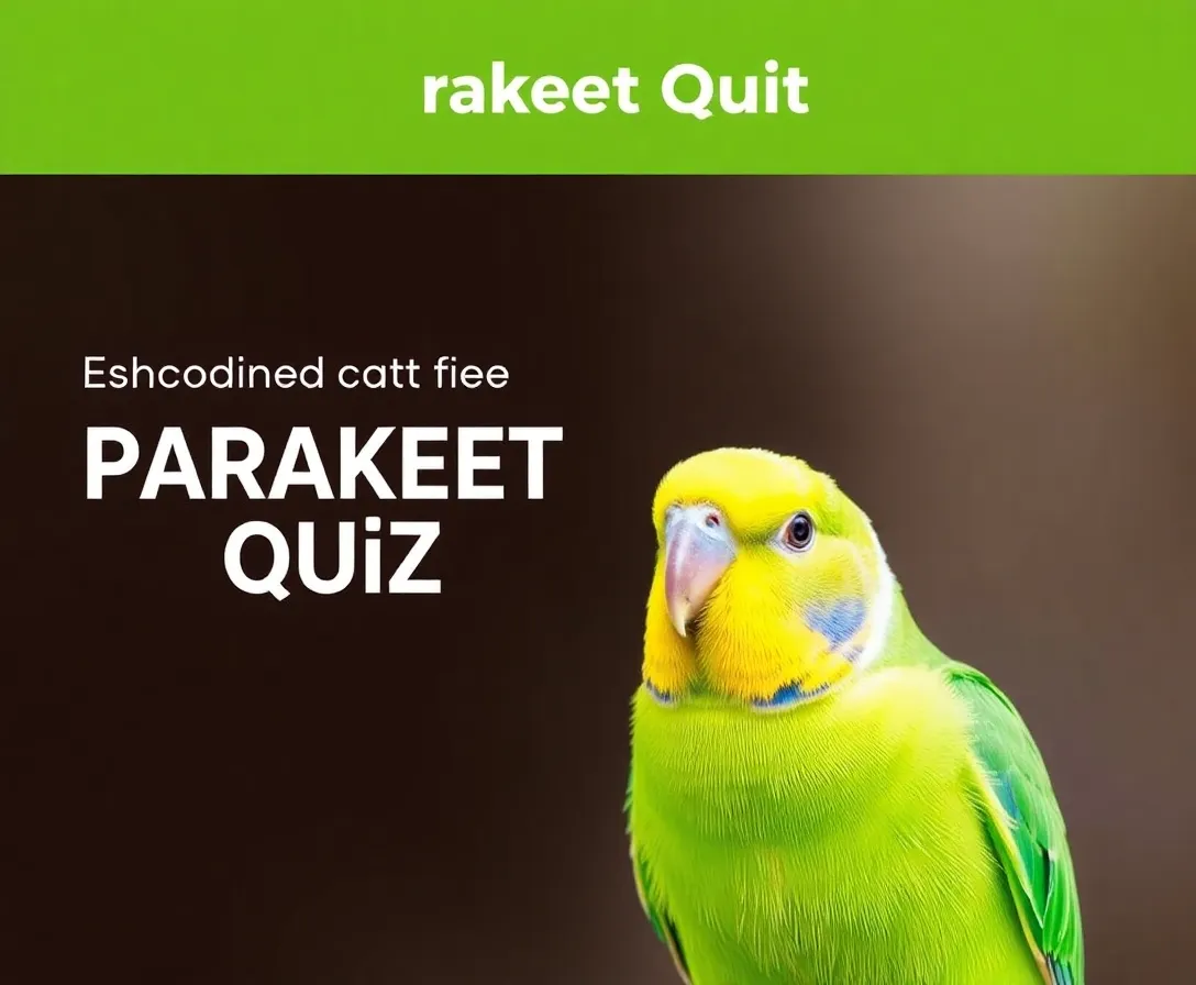 Parakeet Quiz: How Much Do You Know?