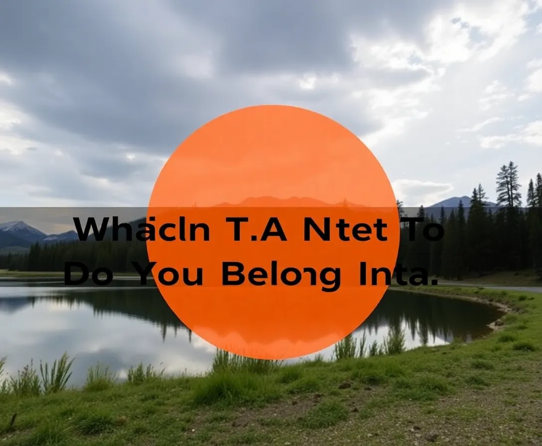 Which State Do You Actually Belong In?