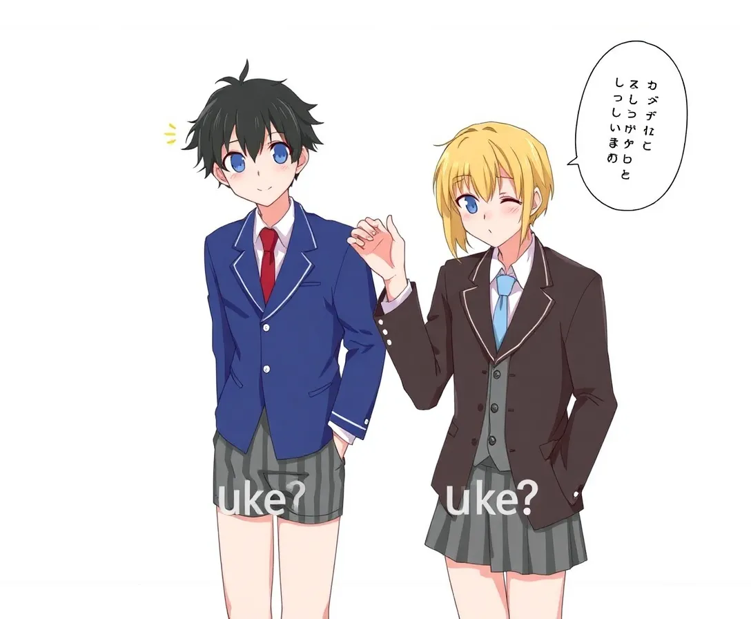 Are You Uke Or Seme? Yaoi Test Quiz