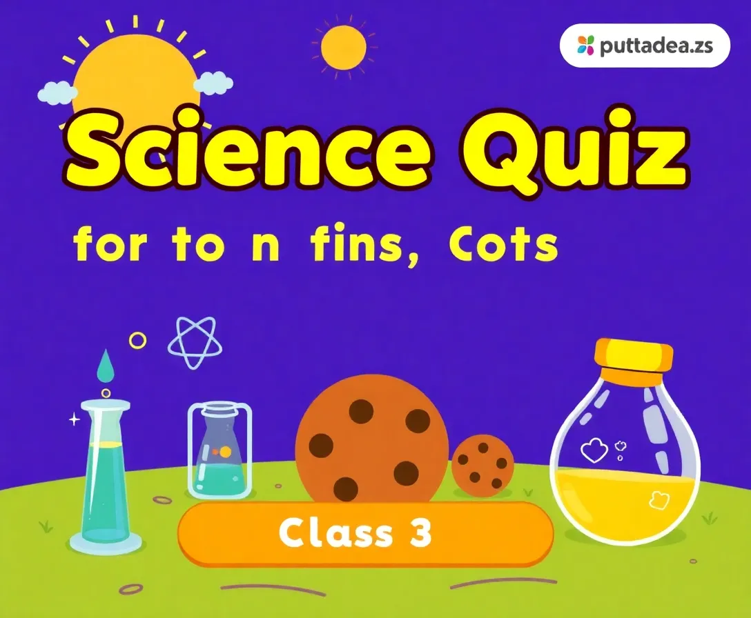 Test Your Basics: Science Quiz For Class 3