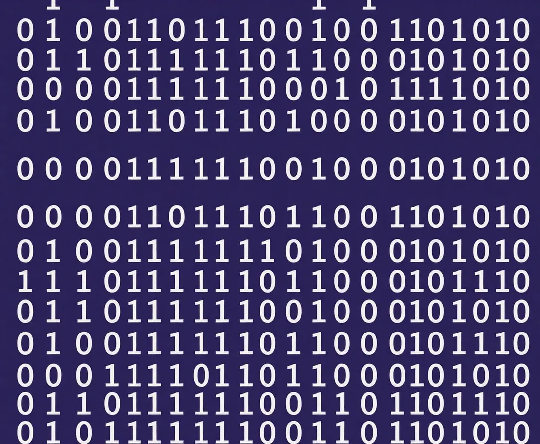 Binary Sytem- Representing Data Quiz