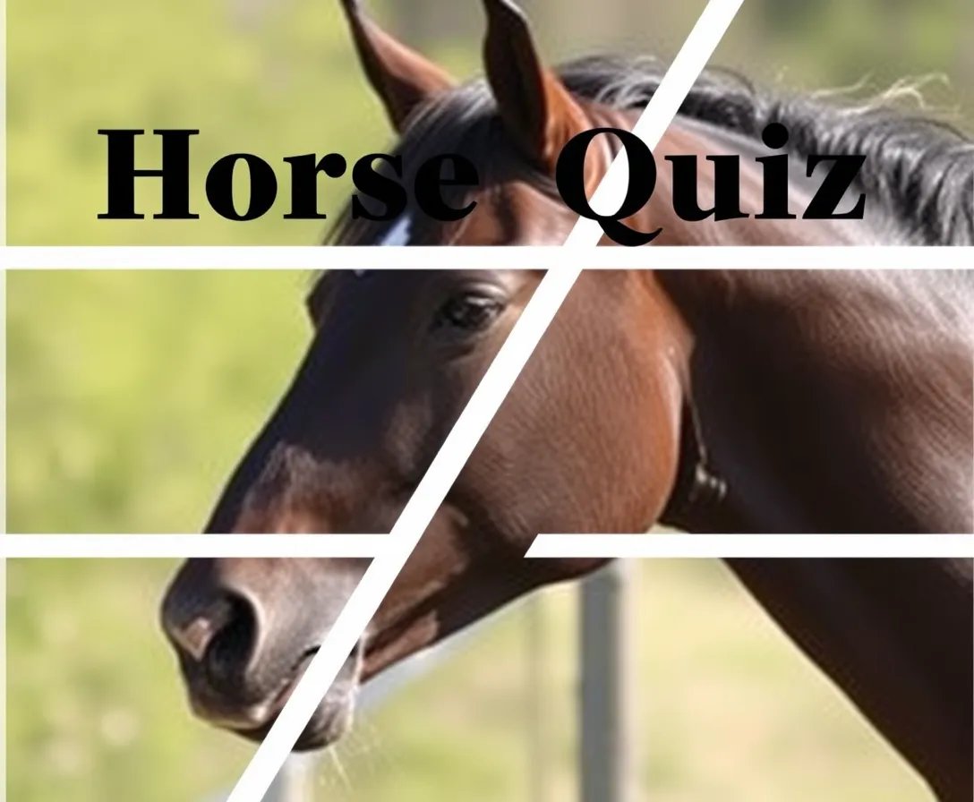 Horse Quiz: How Much Do You Know About Horses?