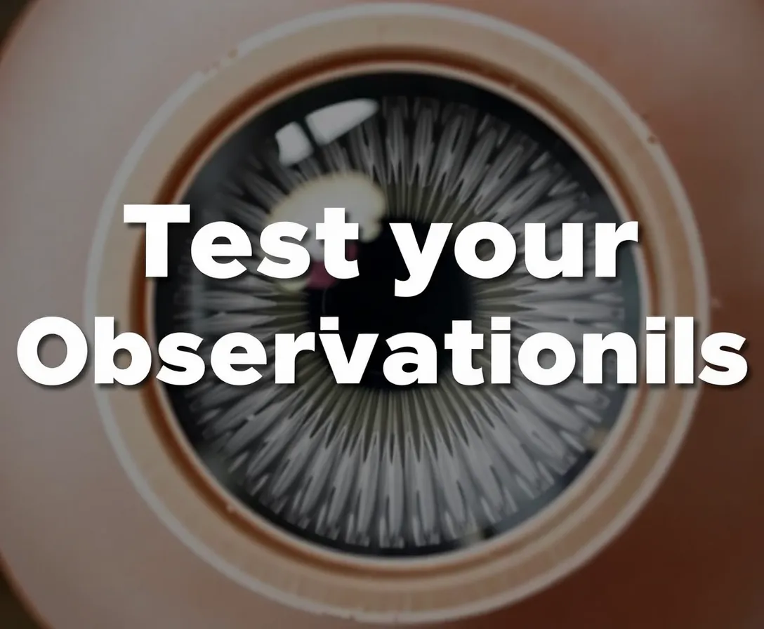 Test Your Updated Observation Skills