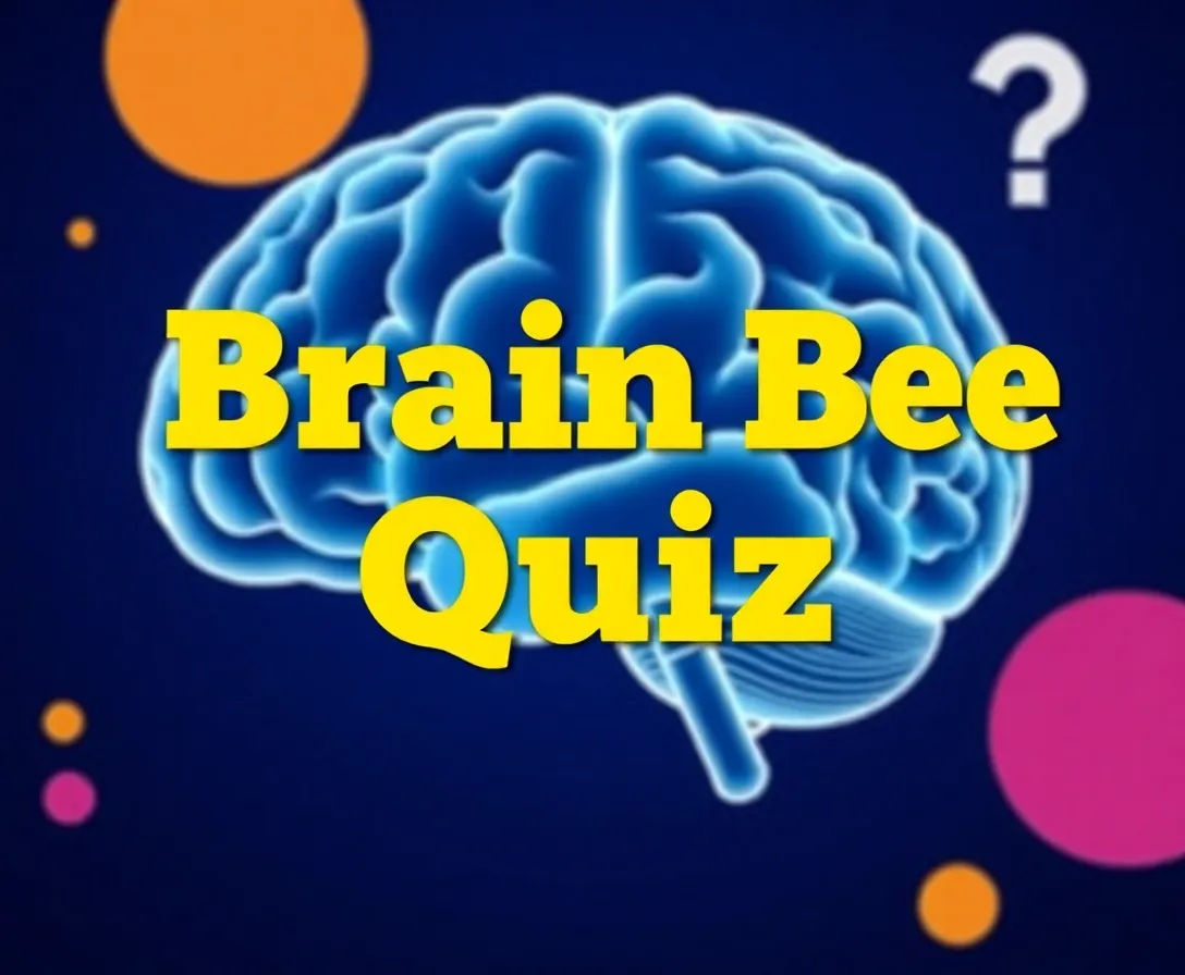 Test Your Updated Neuroscience Knowledge